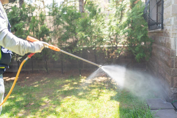 Best Bed Bug Extermination  in Mountain Lodge Park, NY
